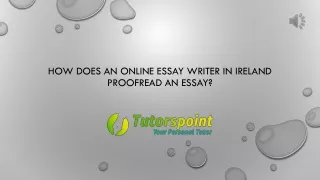 How Does An Online Essay Writer In Ireland Proofread An Essay?