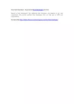 Hire Flash Developer - Experienced Flash Developers For Hire