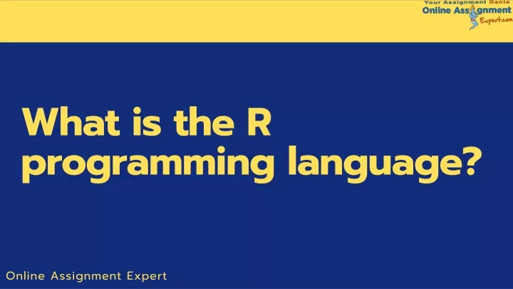 what is the r programming language