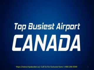 Top 5 Busiest Airports in Canada