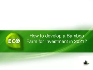 How to develop a Bamboo Farm for Investment in 2021?