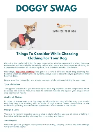 Things To Consider While Choosing Clothing For Your Dog