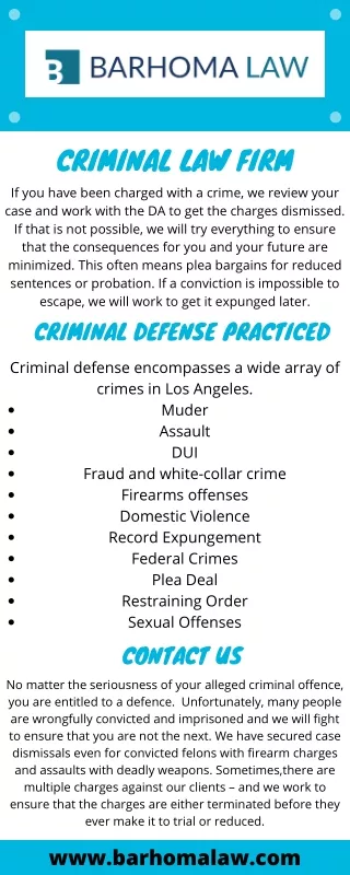 Criminal Law Firm
