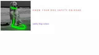 Dog safety collar in Missouri