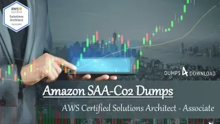 SAA-C02 - Amazon  SAA-C02 Exam Dumps Updated Question Answers