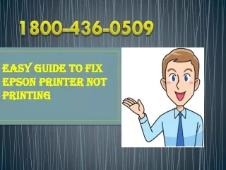 1800 436 0509