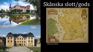 sk nska slott gods