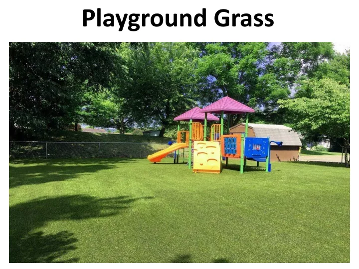 playground grass