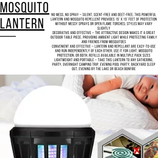 Mosquito lantern