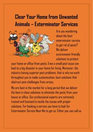 Clear Your Home from Unwanted Animals – Exterminating Services