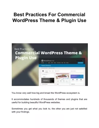 best practices for commercial wordpress theme