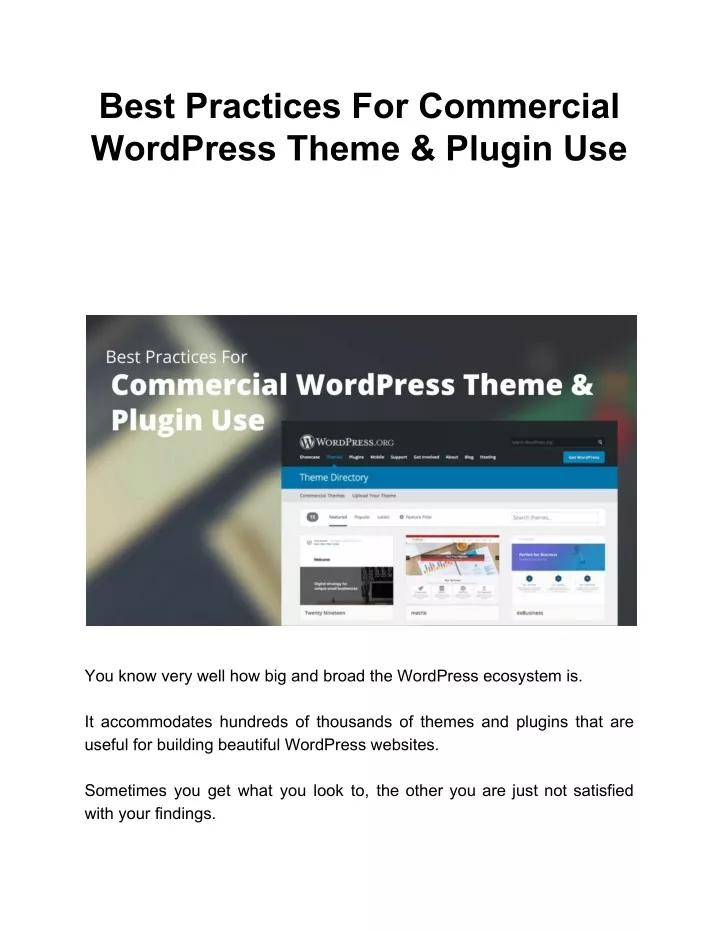 best practices for commercial wordpress theme