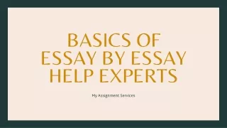 basics of essay by essay help experts