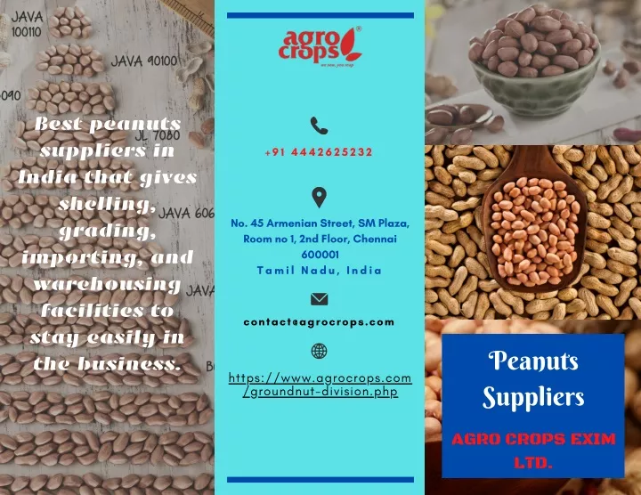 best peanuts suppliers in india that gives