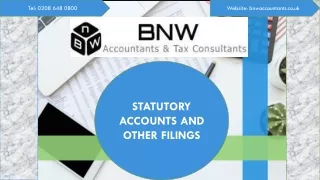 STATUTORY ACCOUNTS AND OTHER FILINGS