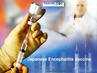 japanese encephalitis vaccine