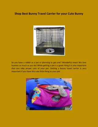 shop best bunny travel carrier for your cute bunny
