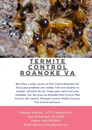 t e r m i t e c o n t r o l r o a n o k e v a