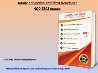 adobe campaign standard developer