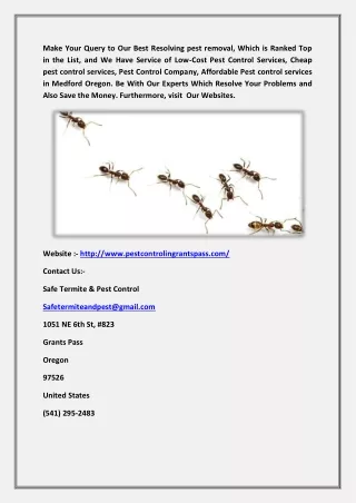 Low Cost Pest Control Services Medford - Safe Termite & Pest Control