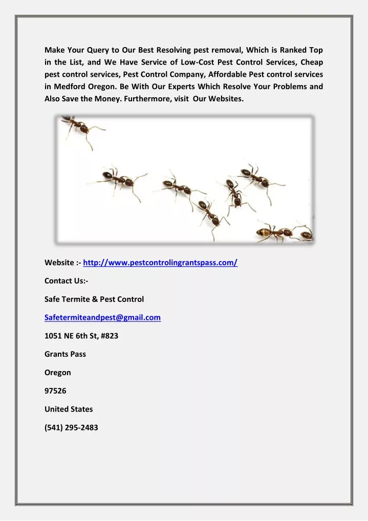 make your query to our best resolving pest