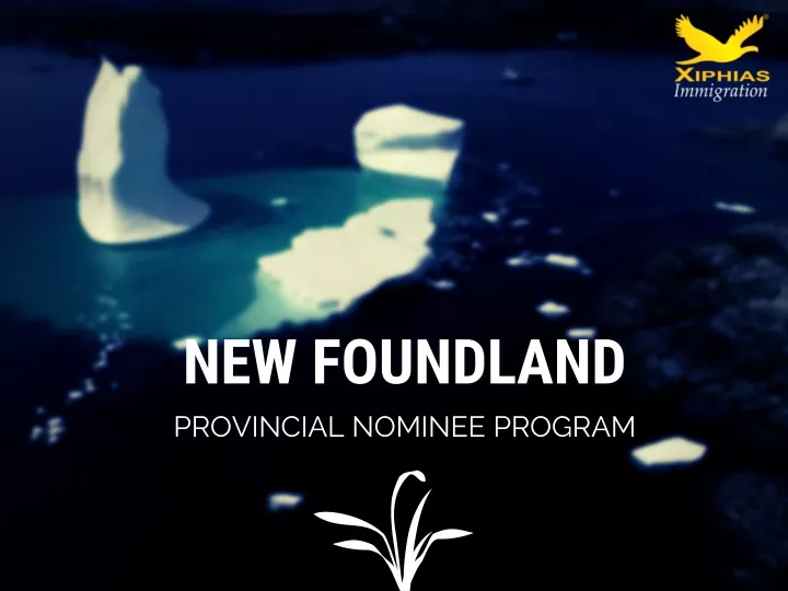 new foundland provincial nominee program
