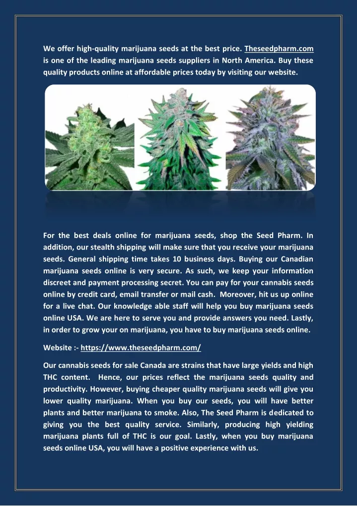 we offer high quality marijuana seeds at the best