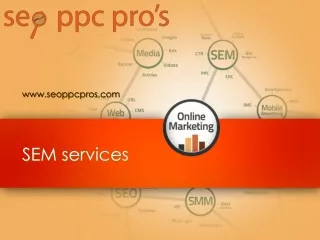 Login For the Best SEM Services - www.seoppcpros.com