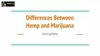 5 Major Differences between Hemp and Marijuana