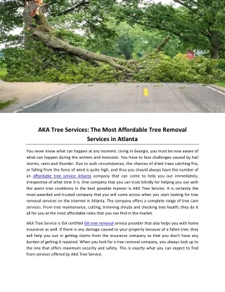 aka tree services the most affordable tree