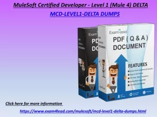 mulesoft certified developer level 1 mule 4 delta