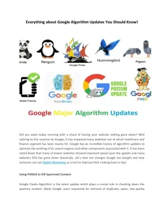 everything about google algorithm updates