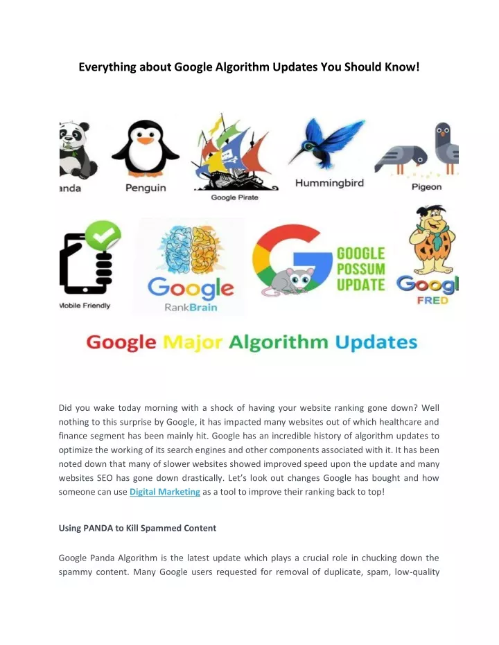 everything about google algorithm updates