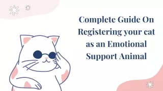 Complete Guide On registering your cat as an emotional support animal