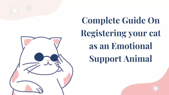 complete guide on registering your