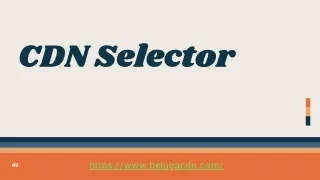 Multiple CDN Usage with a CDN Selector