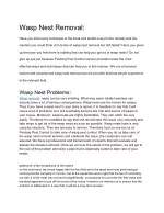 Wasp control Toronto - slide 1