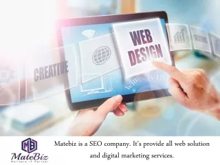 matebiz is a seo company it s provide