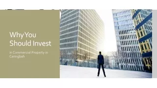 why you should invest
