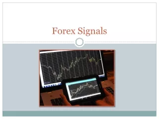 How Accurate Forex Signals Instill a Winning Mentality