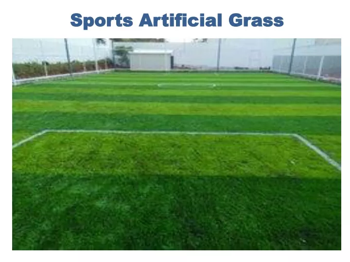 sports artificial grass