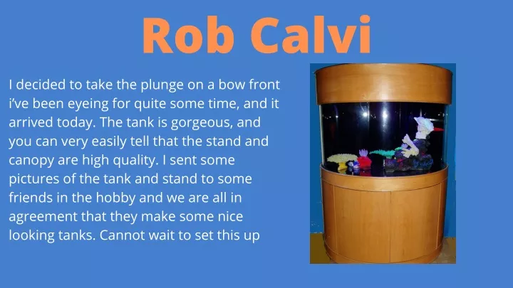 rob calvi