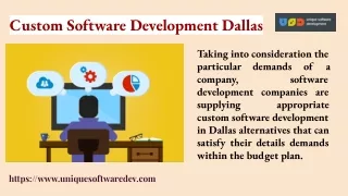 custom software development dallas