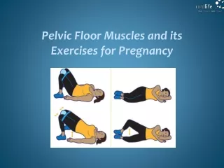 pelvic floor muscles and its exercises for pregnancy