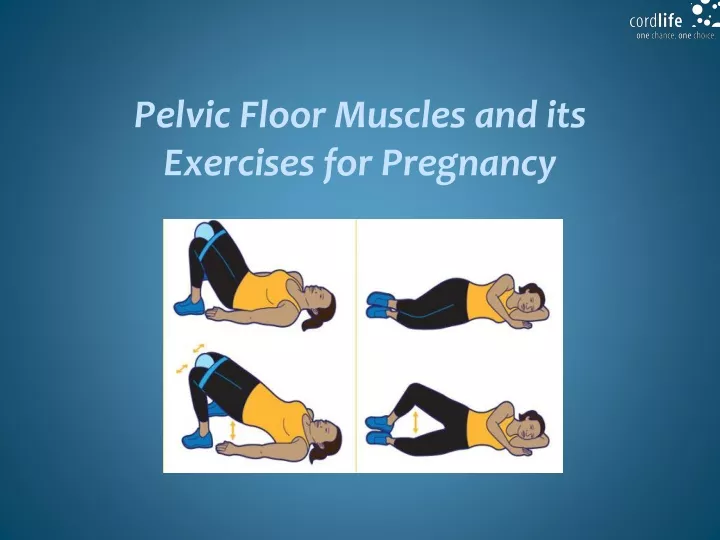 pelvic floor muscles and its exercises for pregnancy