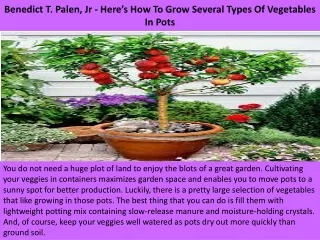 benedict t palen jr here s how to grow several types of vegetables in pots