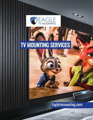 Tv Mounting Services