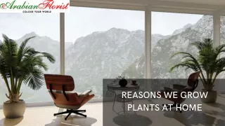reasons we grow