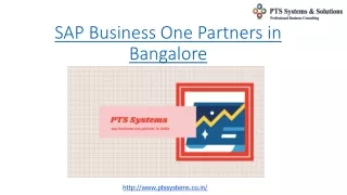 sap business one partners in bangalore
