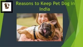 7 Reasons to Keep Pet Dog- Flauntpet